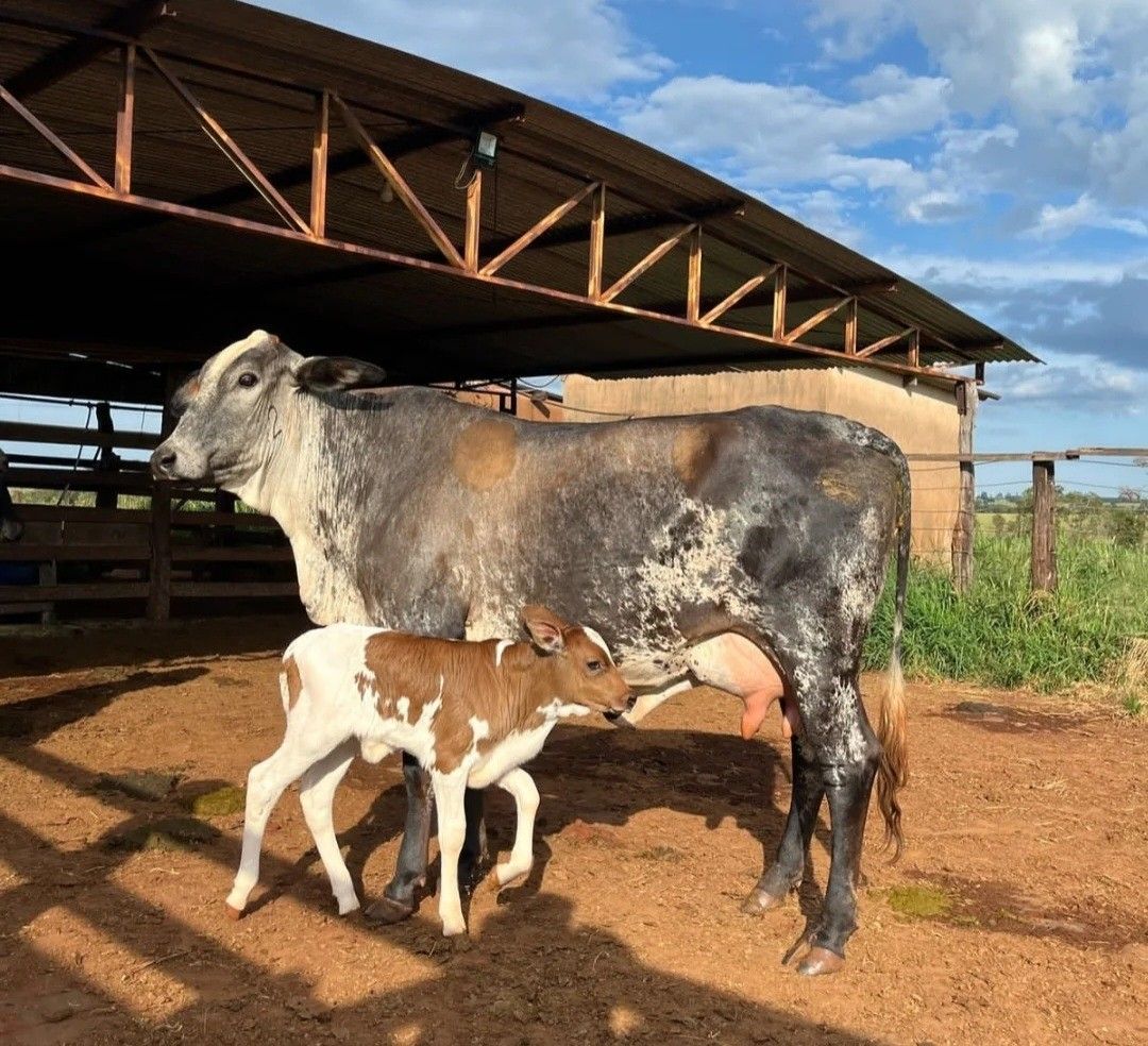 Para quem é o método