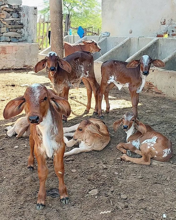 Como funciona o método