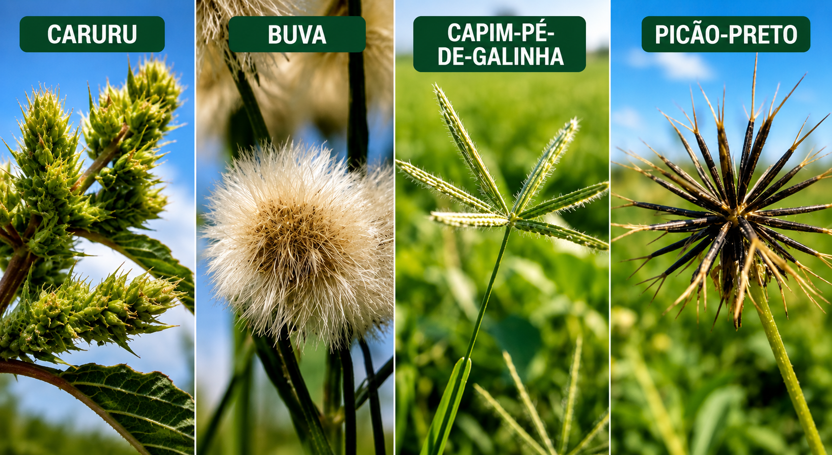 Checklist de campo para diagnóstico de falha no controle
