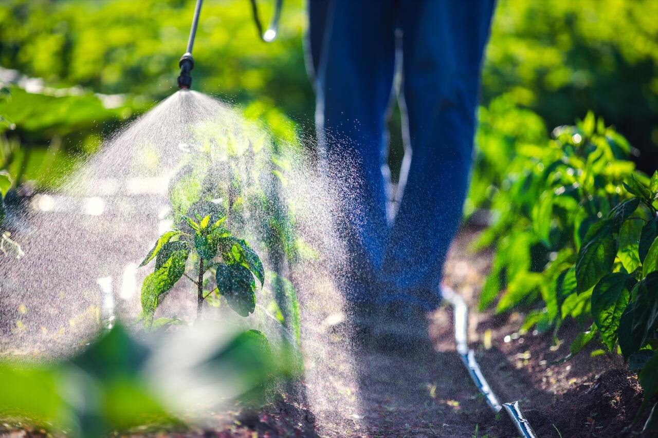Irrigação e qualidade da água utilizada na agricultura