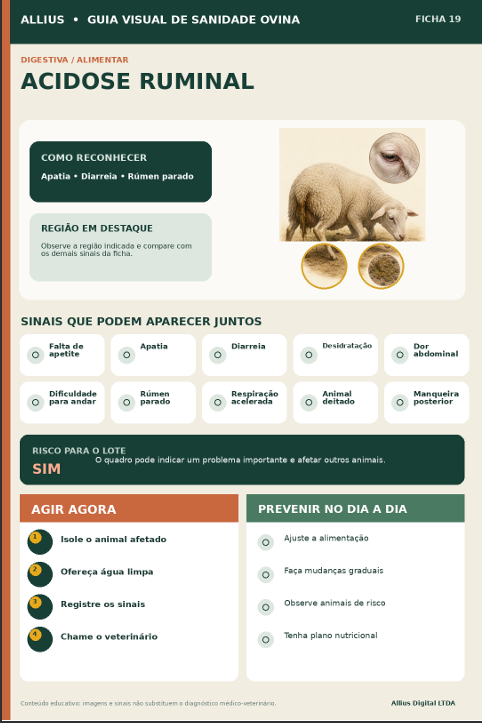 Amostra do guia - página 4