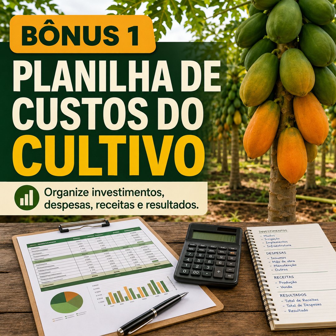 Bônus 1 - Planilha de custos