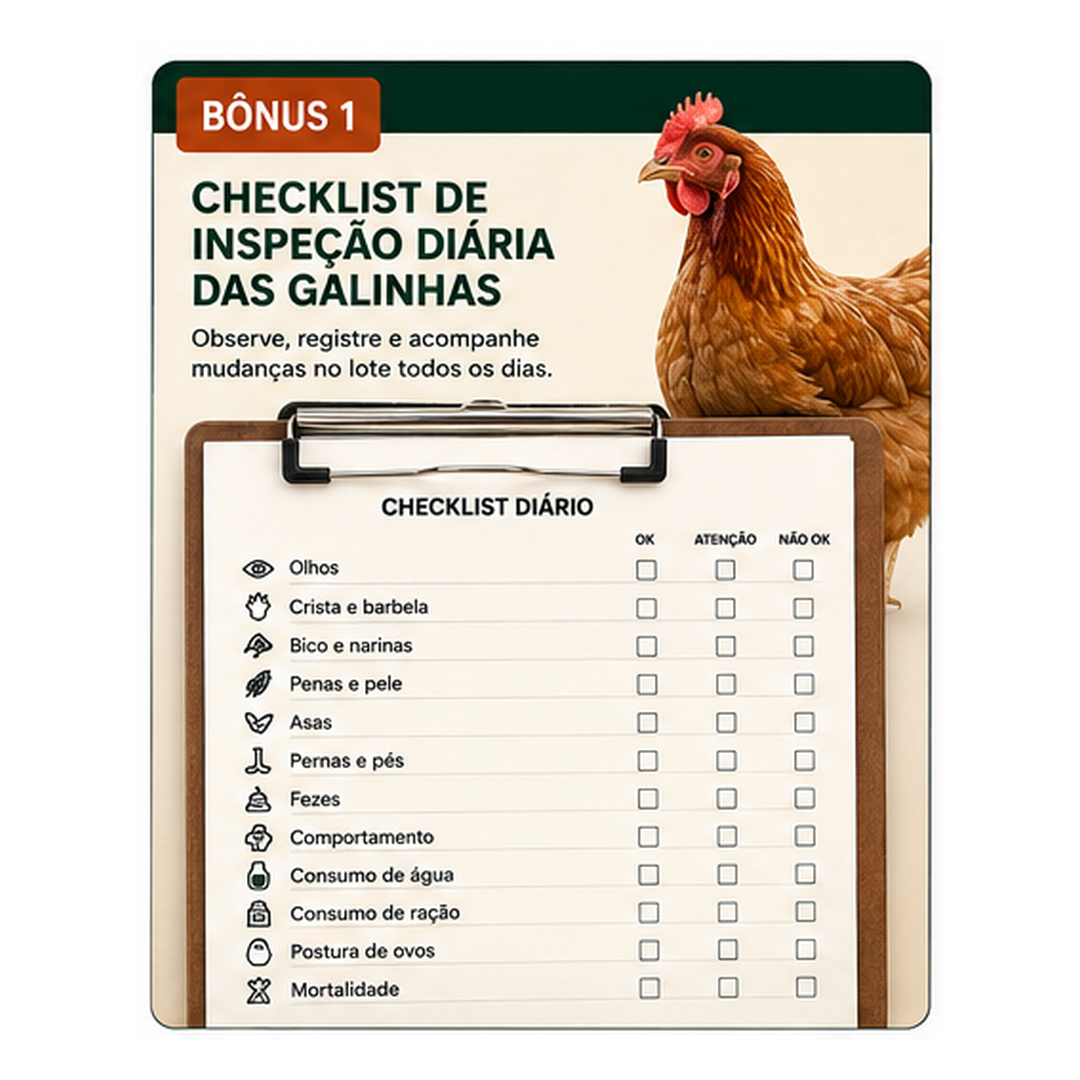 Bônus 1 — Checklist de Inspeção Diária
