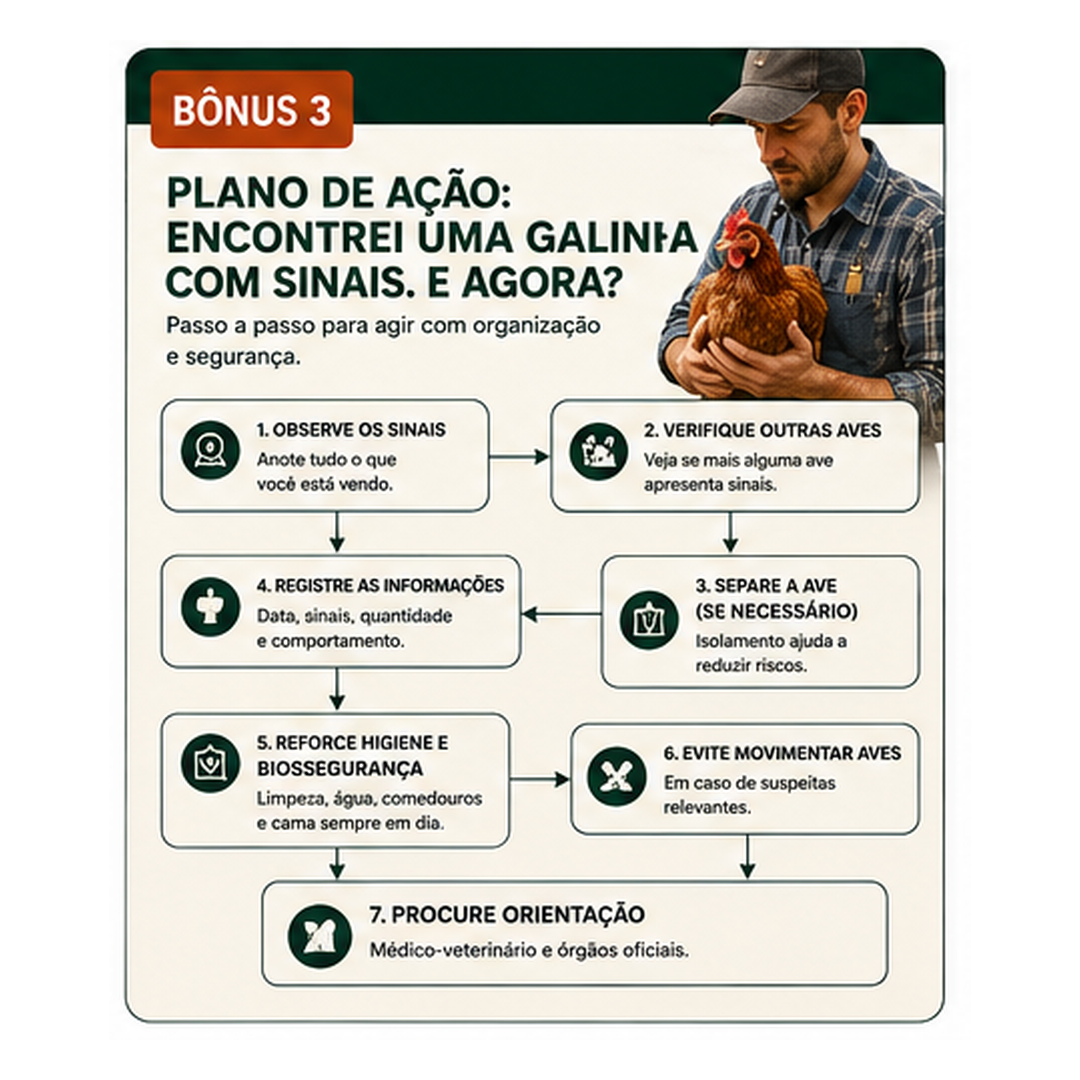 Bônus 3 — Plano de Ação