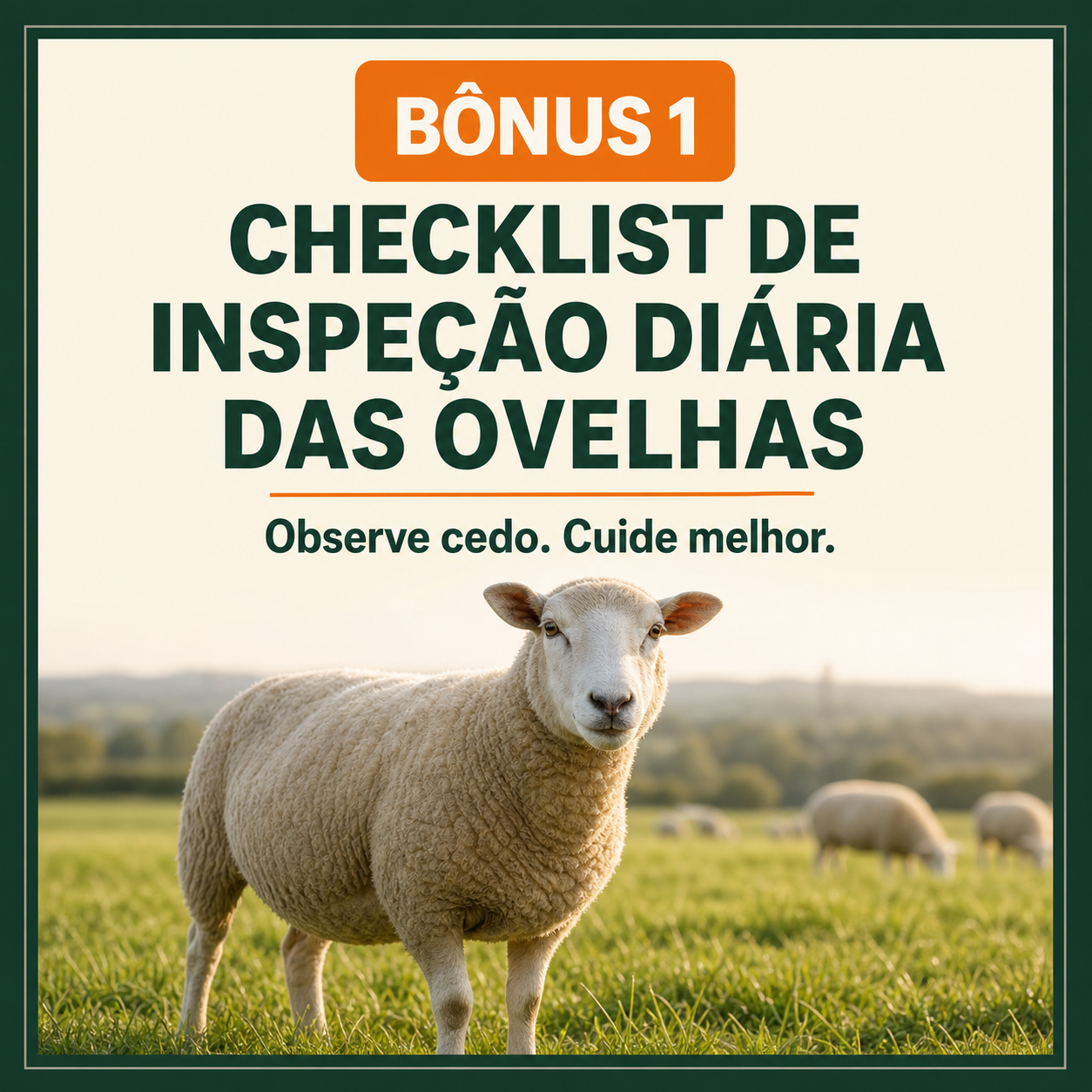 Exemplo visual de ficha do guia 4