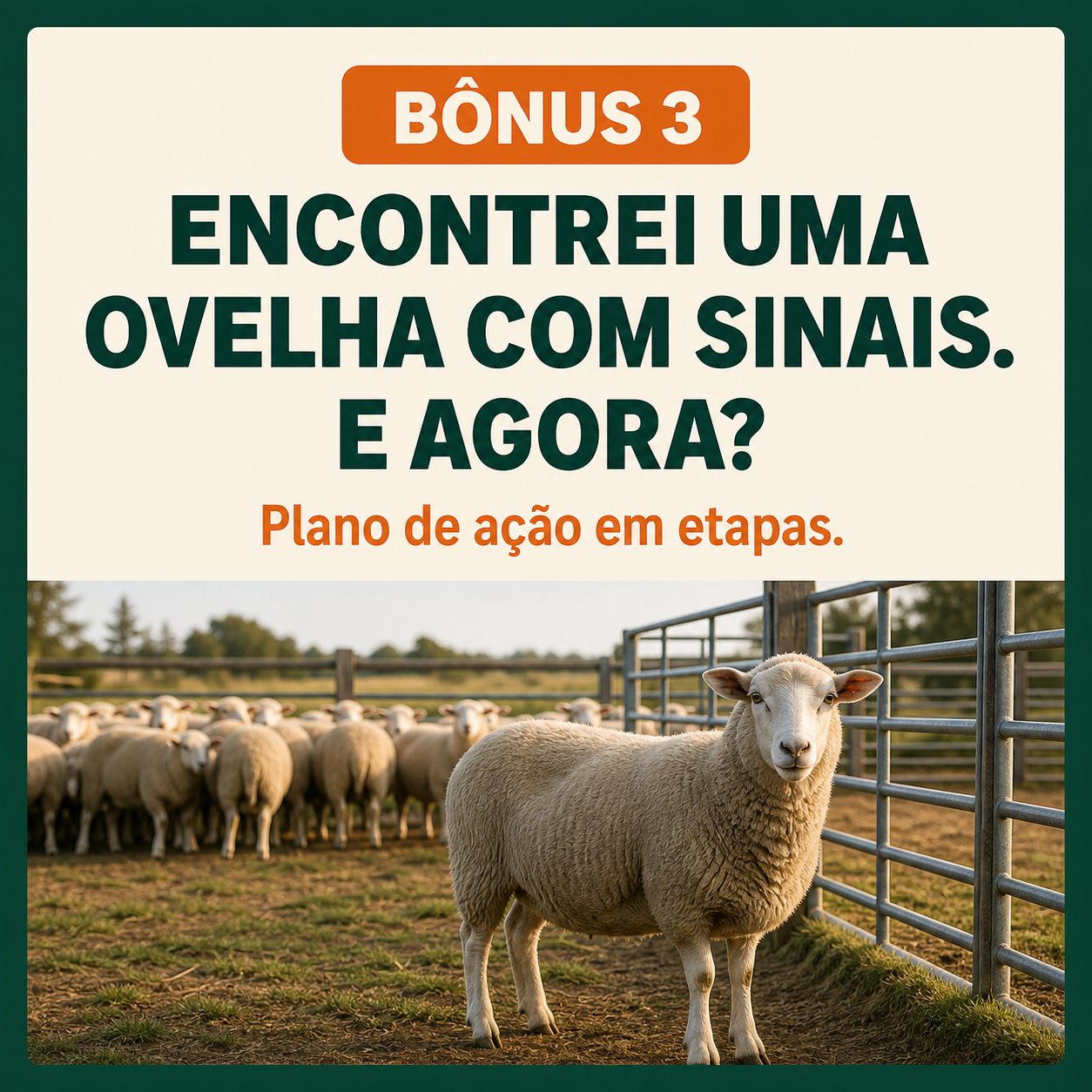 Exemplo visual de ficha do guia 2