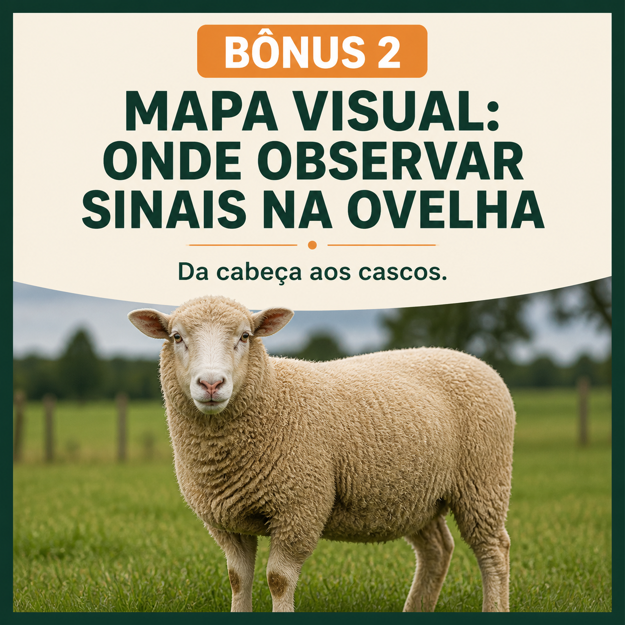 Exemplo visual de ficha do guia 3