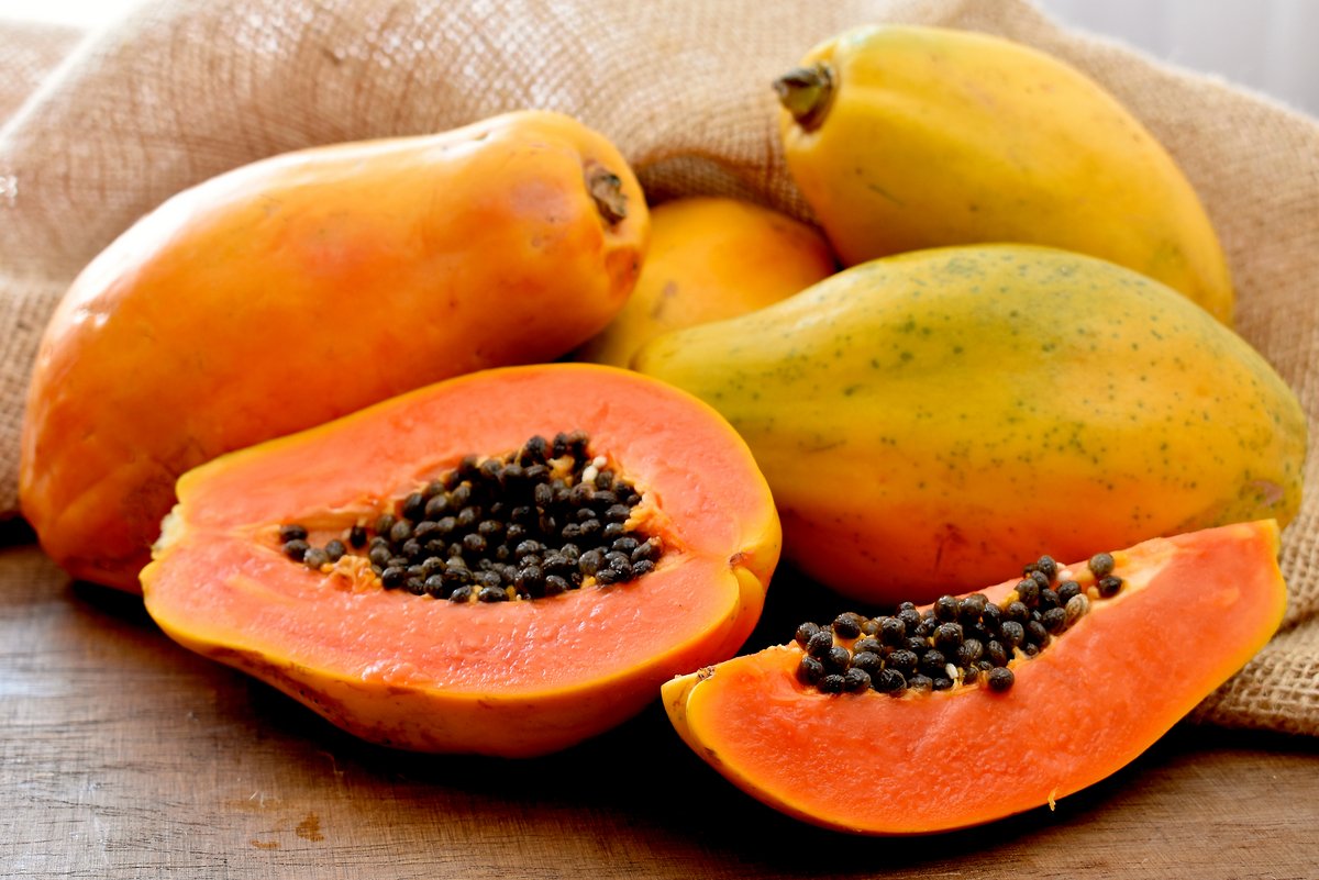 Cultivo de mamão em pomar